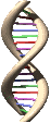 http://www.ouhsc.edu/benbrooklab/Dr_Doris%20Benbrook's%20Webpage_files/dna.gif