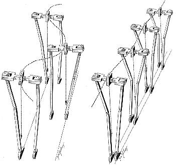 physiological genu valgus