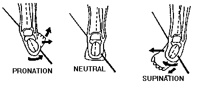 open chain movement of right subtalar joint