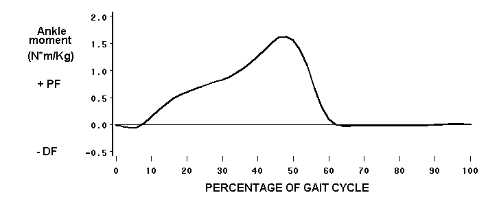 ankle moment
