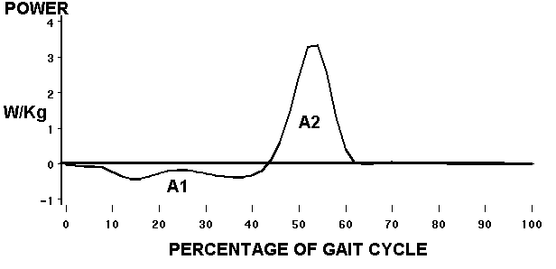 ankle power curve