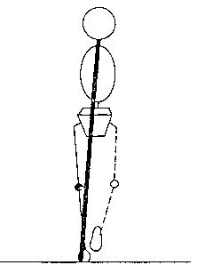 normal grf, frontal plane, loading response
