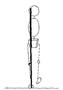 normal grf, frontal plane, loading response