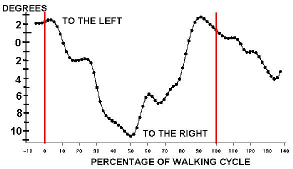 graph of pelvic rotation