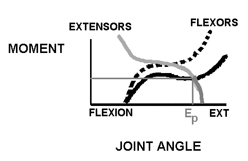 equilibrium point