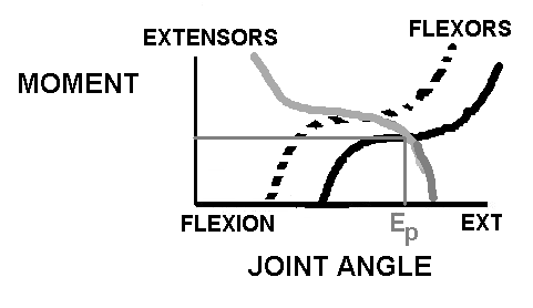 equilibrium point