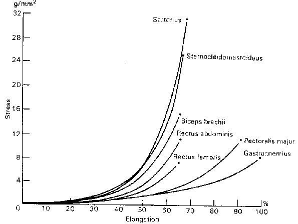 stress-strain curves for LE muscles
