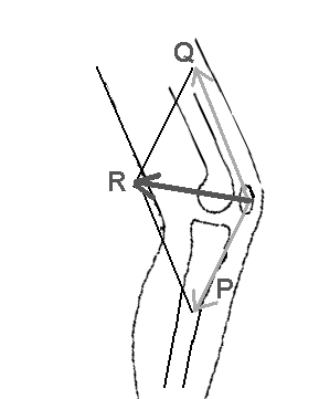 vector composition of q and p