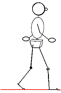 masses of the human body