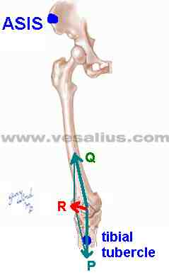vector composition of Q and P