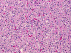 Com307-1-DD-Oligo1.gif (162460 bytes)