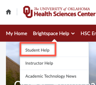 student help link in brightspace