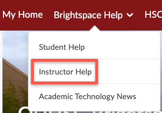 instructor help image inside brightspace